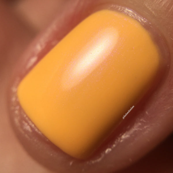 Orange Dreamsicle